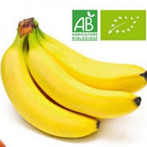 Bananes    Bio - 